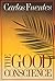 The Good Conscience: A Novel