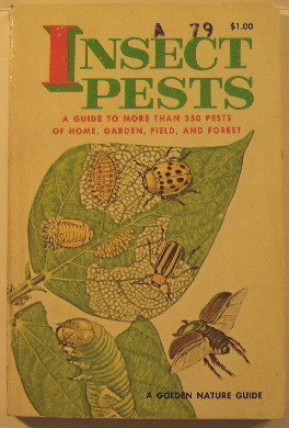 Insect Pests (Paperback)