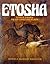 Etosha: Life & death on an African plain