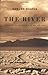 The River : A Journey to the Source of HIV and AIDS