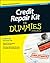 Credit Repair Kit for Dummies by Steve Bucci