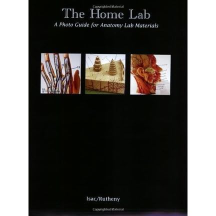 The Home Lab A Photo Guide For Anatomy Lab Materials By James Isac
