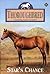 Star's Chance (Thoroughbred, #45)