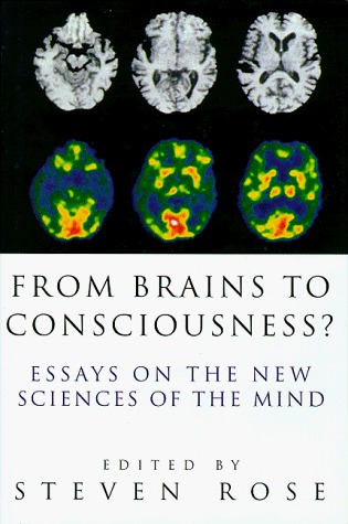 Brain consciousness essay from mind new science 07 picture
