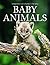 Baby Animals by Karen Penzes