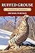 Ruffed Grouse: Woodland Drummer