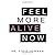 FEEL MORE ALIVE NOW by Steven Newman