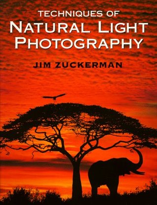 Techniques of Natural Light Photography (Paperback)