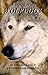 Living with Wolfdogs by Nicole Wilde Living with Wolfdogs by Nicole Wilde