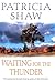 Waiting for the Thunder: A vivid Australian saga of strength and survival
