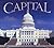 Capital by Lynn Curlee