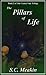 The Pillars of Life by Stephen Meakin