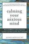 Calming Your Anxi...
