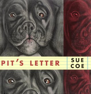 Pit's Letter (Hardcover)