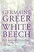 White Beech: The Rainforest Years