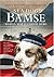 Sea Dog Bamse by Angus Whitson