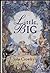 Little, Big by John Crowley