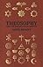 Theosophy and the Theosophical Society