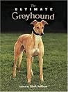 The Ultimate Greyhound