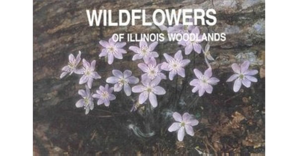 Wildflowers of Illinois Woodlands by Sylvan T. Runkel