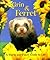 Grin & Ferret: A Warm and Fuzzy Guide to Life