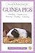 Guinea Pigs by Dennis Kelsey-Wood