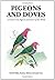 Pigeons and Doves: A Guide to the Pigeons and Doves of the World