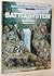 Battlesystem Skirmishes Miniature Rules (Advanced Dungeons & Dragons, 2nd Edition)