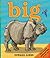 Big
