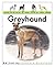 Living With a Greyhound (Living With a Pet Series)