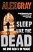 Sleep Like The Dead (DSI William Lorimer #8)