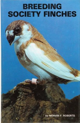 Breeding Society Finches (Hardcover)