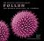 Pollen: The Hidden Sexualit...