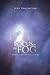 Focus in the Fog: Beams of Light from the Book of Job