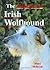 The Magnificent Irish Wolfhound by Mary McBryde