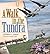 A Walk in the Tundra by Rebecca L. Johnson