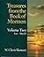 Treasures From the Book of Mormon (Enos-alma 29) (Volume two)