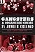 Gangsters and Organized Crime in Jewish Chicago by Alex Garel-Frantzen