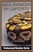 Ball Pythons in Captivity (Professional Breeders Series)