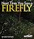 Next Time You See a Firefly