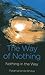 The Way of Nothing: Nothing in the Way