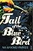 Tail of the Blue Bird by Nii Ayikwei Parkes Tail of the Blue Bird by Nii Ayikwei Parkes