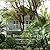 The Tropical Cottage by Beth Dunlop