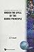 Under The Spell Of The Gauge Principle (Advanced Mathematical Physics)