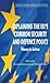 Explaining the EU's Common Security and Defence Policy: Theory in Action (Palgrave Studies in European Union Politics)