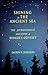 Shining in the Ancient Sea: The Astronomical Ancestry of Homer's Odyssey