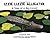 Izzie Lizzie Alligator: A Tale of a Big Lizard