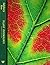 Plant Physiology by Frank Salisbury