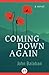 Coming Down Again: A Novel