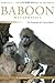 Baboon Metaphysics by Dorothy L. Cheney
